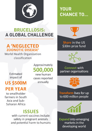 Brucellosis: A Global Challenge