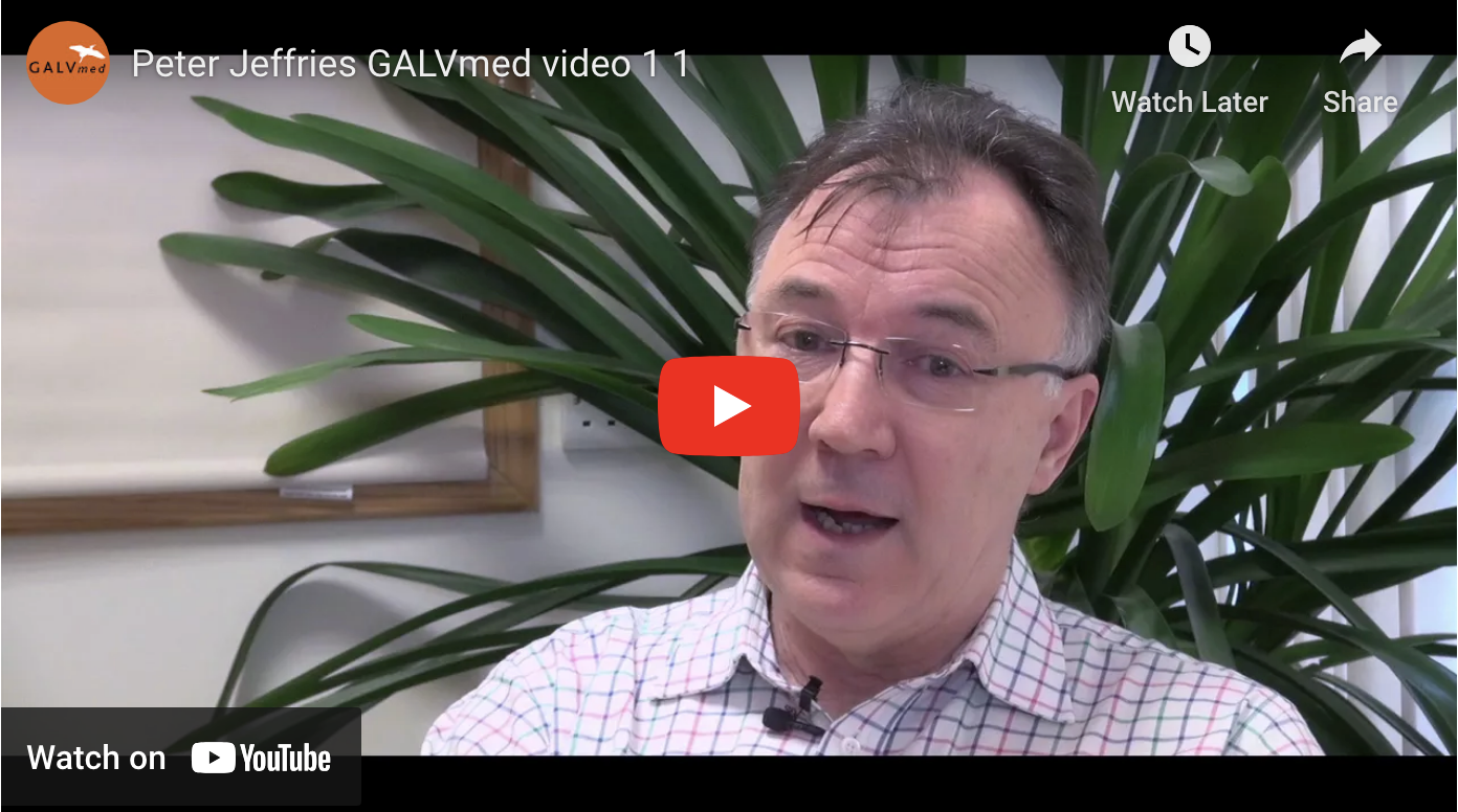 galvmed ceo peter jeffries update on brucellosis vaccine prize  